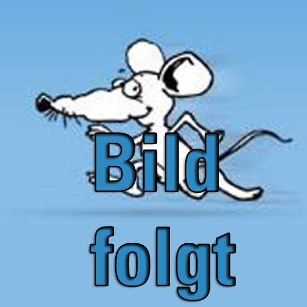 birdy® BASIC Spitze 2-reihig