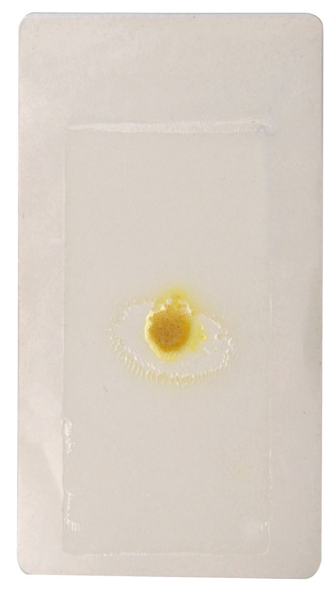Klebeboden Kunststoff transparent lang