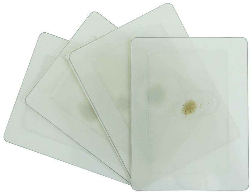Klebeboden Kunststoff transparent kurz mit Lockstoff